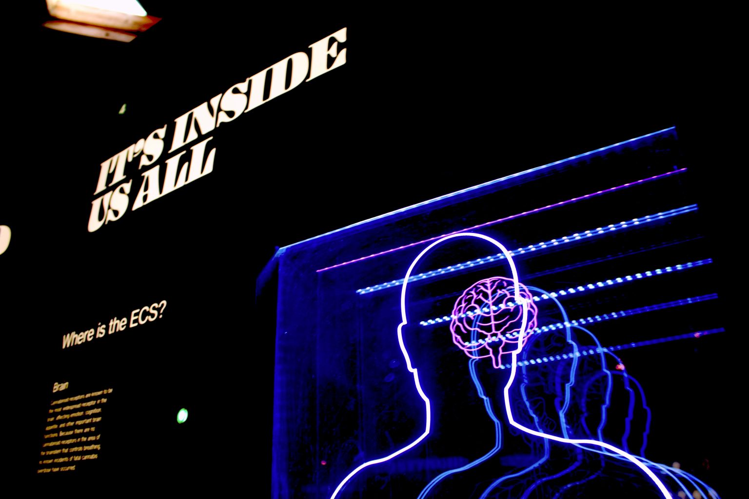 Charliedavids blog post featured image on men psychology topic